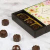 Demeter Chocolate Sugarfree Sweetheart – Cukor & Laktózmentes bonbonválogatás